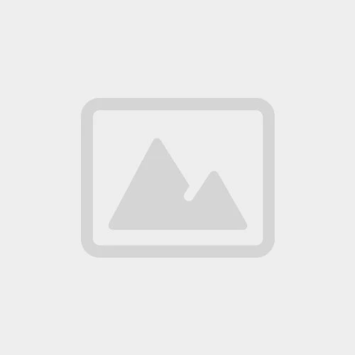 New Arrivals December